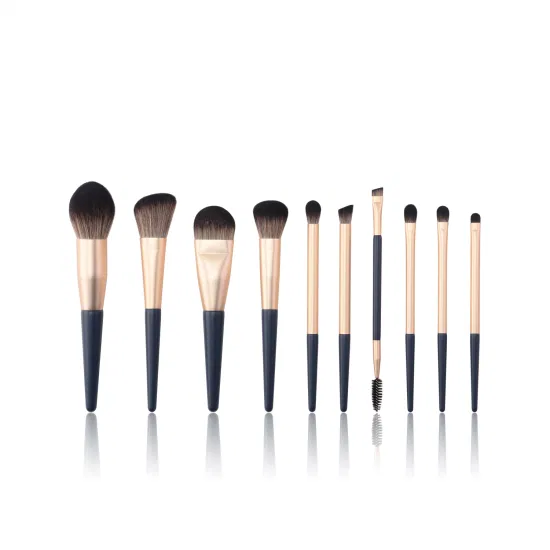 Professional Makeup Brush Set 10PCS Cosmetic Brush Sets Beauty Make up Cosmetic Tool